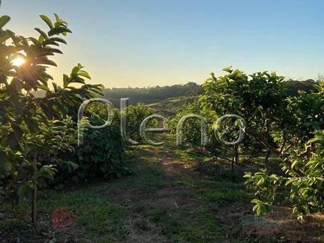 Foto 27 do(a) Fazenda / Sítio / Chácara false à venda em Reforma Agrária, Valinhos