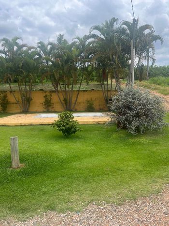 Foto 29 do(a) Fazenda / Sítio / Chácara false à venda em Reforma Agrária, Valinhos