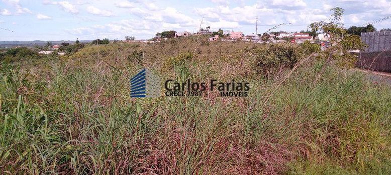 Foto 3 do(a) Fazenda / Sítio / Chácara false à venda em Setor Habitacional Jardim Botânico, Brasília