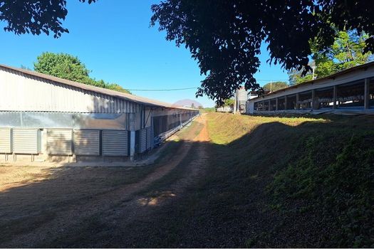 Foto 29 do(a) Fazenda / Sítio / Chácara de 6 quartos à venda em null, Conchal