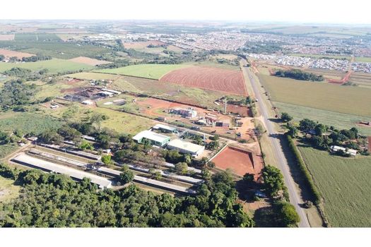 Foto 8 do(a) Fazenda / Sítio / Chácara de 6 quartos à venda em null, Conchal