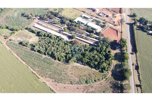 Foto 5 do(a) Fazenda / Sítio / Chácara de 6 quartos à venda em null, Conchal