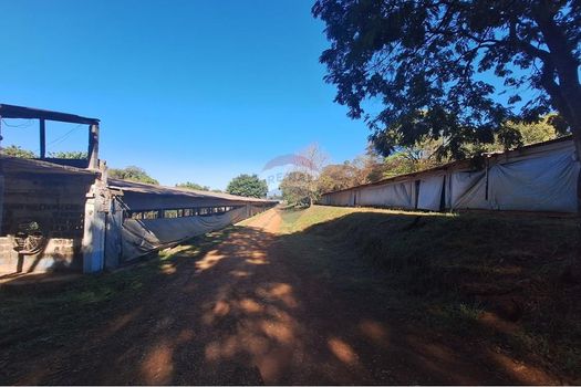 Foto 30 do(a) Fazenda / Sítio / Chácara de 6 quartos à venda em null, Conchal
