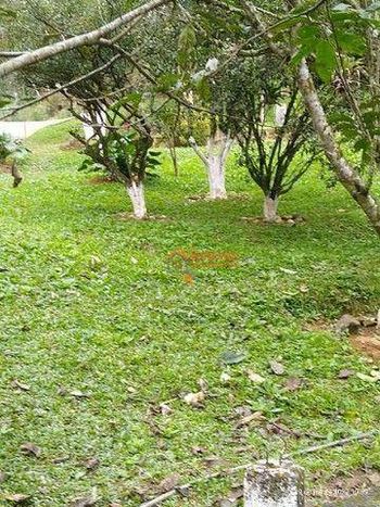 Foto 5 do(a) Fazenda / Sítio / Chácara de 5 quartos à venda em Aguazul, Guarulhos