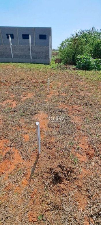 Foto 6 do(a) Terreno false à venda em Vila Clementina, São José do Rio Preto