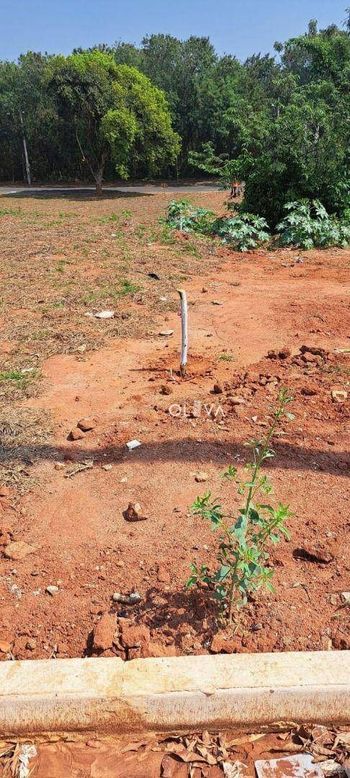 Foto 4 do(a) Terreno false à venda em Vila Clementina, São José do Rio Preto