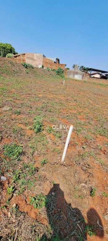 Foto 5 do(a) Terreno false à venda em Vila Clementina, São José do Rio Preto