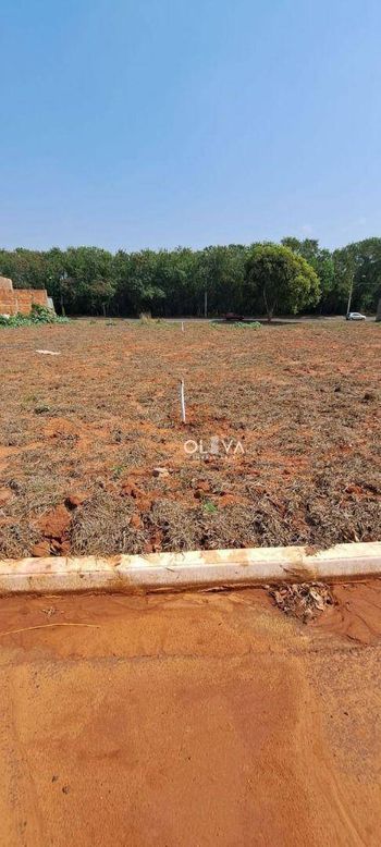 Foto 7 do(a) Terreno false à venda em Vila Clementina, São José do Rio Preto