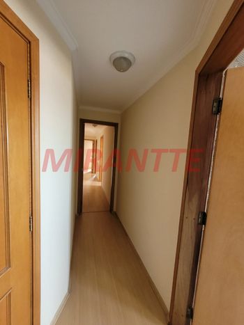 Foto 7 do(a) Apartamento de 2 quartos à venda em Vila Paulicéia, São Paulo