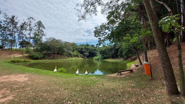Foto 9 do(a) Terreno false à venda em Portal do Éden, Itu