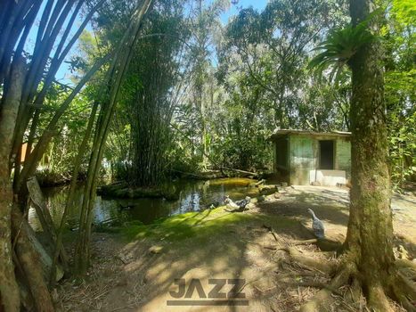 Foto 20 do(a) Fazenda / Sítio / Chácara de 3 quartos à venda em São João, Bertioga