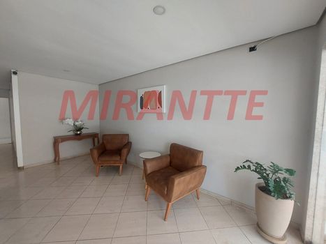 Foto 18 do(a) Apartamento de 3 quartos à venda em Canindé, São Paulo
