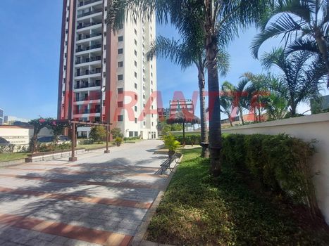 Foto 40 do(a) Apartamento de 3 quartos à venda em Canindé, São Paulo