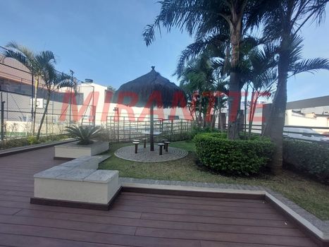 Foto 43 do(a) Apartamento de 3 quartos à venda em Canindé, São Paulo