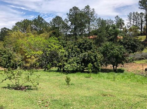 Foto 7 do(a) Fazenda / Sítio / Chácara false para alugar em Cachoeira, Vinhedo