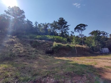Foto 3 do(a) Fazenda / Sítio / Chácara de 1 quartos à venda em Área Rural de Biguaçu, Biguaçu