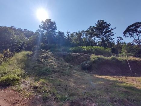 Foto 6 do(a) Fazenda / Sítio / Chácara de 1 quartos à venda em Área Rural de Biguaçu, Biguaçu