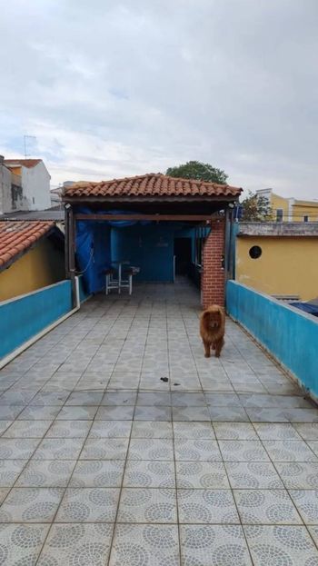 Foto 12 do(a) Casa de 2 quartos à venda em Jardim Belém, São Paulo