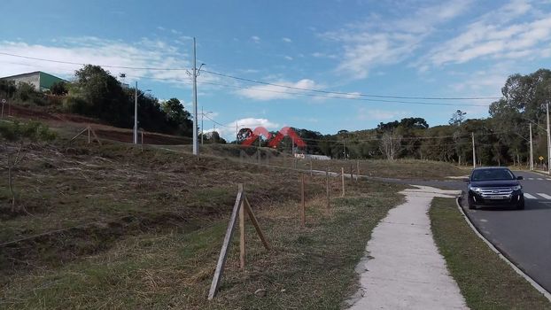 Foto 2 do(a) Terreno false à venda em Campina da Barra, Araucária
