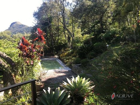 Foto 5 do(a) Casa de 4 quartos para alugar em Samambaia, Petrópolis