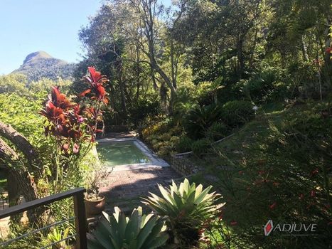 Foto 17 do(a) Casa de 4 quartos para alugar em Samambaia, Petrópolis