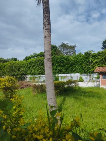 Foto 45 do(a) Casa de 3 quartos à venda em Setor de Habitações Individuais Sul, Brasília