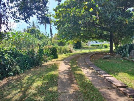 Foto 17 do(a) Fazenda / Sítio / Chácara false à venda em Chácara São José, Jaguariúna