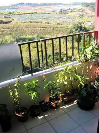 Foto 5 do(a) Apartamento de 3 quartos à venda em Jardim Antonio Von Zuben, Campinas