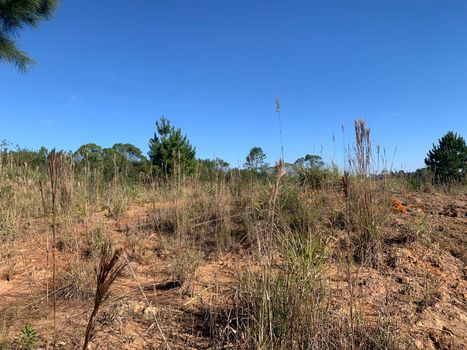 Foto 20 do(a) Terreno false à venda em Colonia Marcelino, São José dos Pinhais