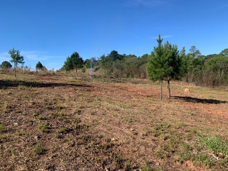 Foto 3 do(a) Terreno false à venda em Colonia Marcelino, São José dos Pinhais