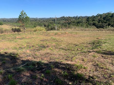 Foto 1 do(a) Terreno false à venda em Colonia Marcelino, São José dos Pinhais