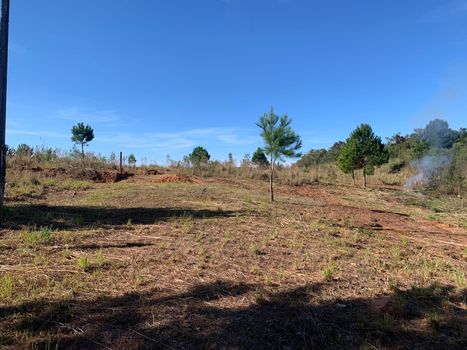 Foto 5 do(a) Terreno false à venda em Colonia Marcelino, São José dos Pinhais