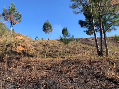 Foto 14 do(a) Terreno false à venda em Colonia Marcelino, São José dos Pinhais