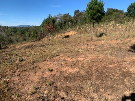 Foto 11 do(a) Terreno false à venda em Colonia Marcelino, São José dos Pinhais