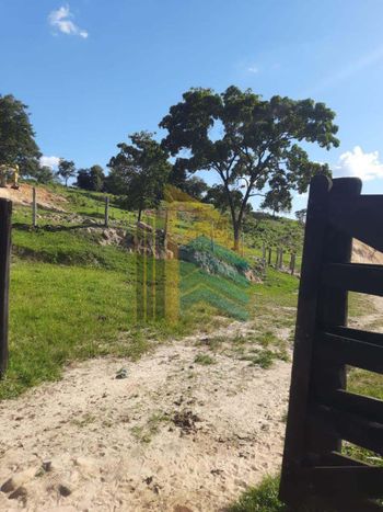 Foto 16 do(a) Fazenda / Sítio / Chácara de 1 quartos à venda em Centro, Curvelo