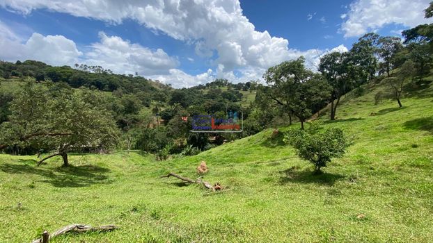 Foto 46 do(a) Fazenda / Sítio / Chácara de 2 quartos à venda em Amaral, Nova Serrana