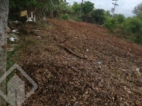 Foto 4 do(a) Terreno false à venda em Campestre, Lajeado