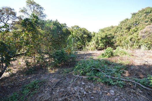 Foto 4 do(a) Terreno false à venda em Bom Retiro, Betim