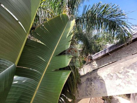Foto 39 do(a) Casa em Condomínio de 3 quartos à venda em Chácaras Cataguá, Taubaté
