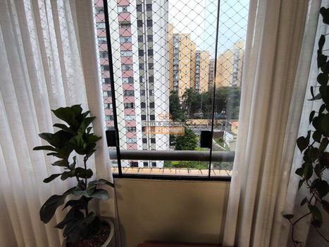 Foto 9 do(a) Apartamento de 2 quartos à venda em Jardim Melo, São Paulo