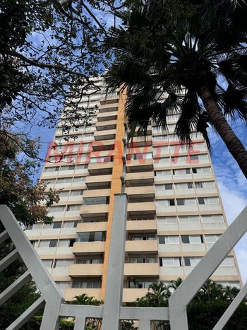 Foto 25 do(a) Apartamento de 3 quartos à venda em Água Fria, São Paulo