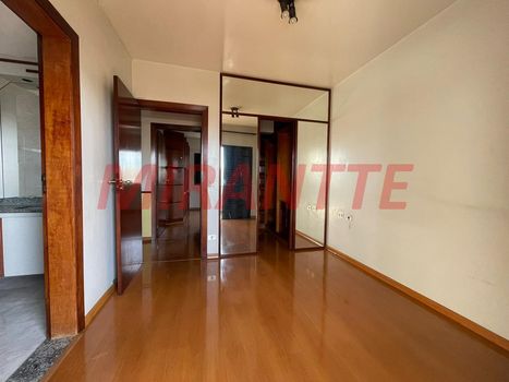 Foto 21 do(a) Apartamento de 3 quartos à venda em Vila Paulicéia, São Paulo