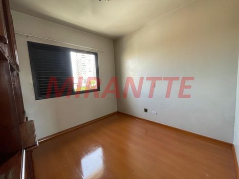 Foto 25 do(a) Apartamento de 3 quartos à venda em Vila Paulicéia, São Paulo