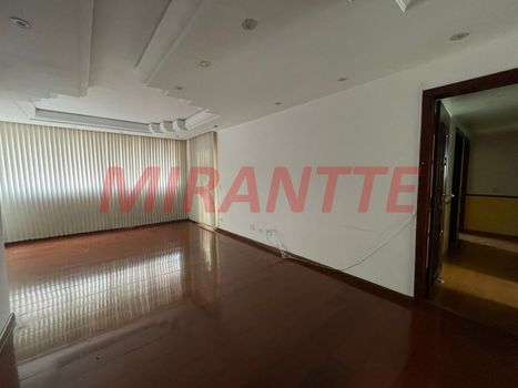 Foto 2 do(a) Apartamento de 3 quartos à venda em Vila Paulicéia, São Paulo