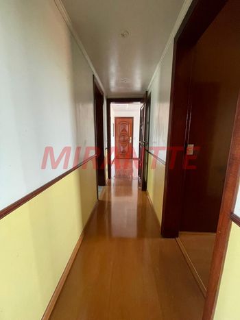 Foto 16 do(a) Apartamento de 3 quartos à venda em Vila Paulicéia, São Paulo