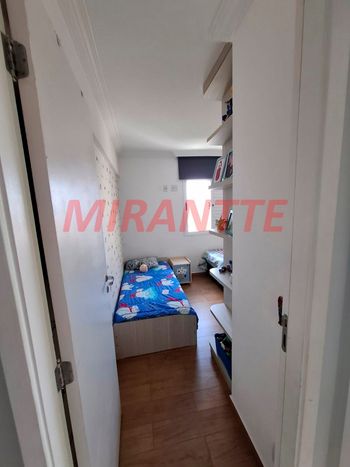 Foto 26 do(a) Apartamento de 3 quartos à venda em Vila Amélia, São Paulo
