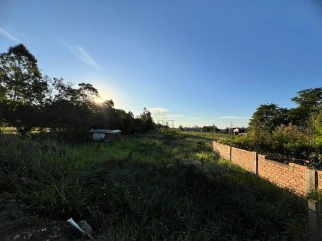 Foto 2 do(a) Terreno false à venda em Área Rural de Montenegro, Montenegro
