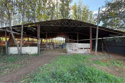 Foto 32 do(a) Fazenda / Sítio / Chácara de 6 quartos à venda em Área Rural de Jaguariúna, Jaguariúna