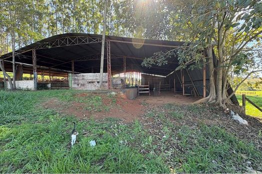 Foto 35 do(a) Fazenda / Sítio / Chácara de 6 quartos à venda em Área Rural de Jaguariúna, Jaguariúna