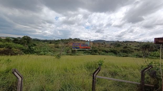Foto 28 do(a) Fazenda / Sítio / Chácara de 2 quartos à venda em Estância do Sereno Sede, Betim